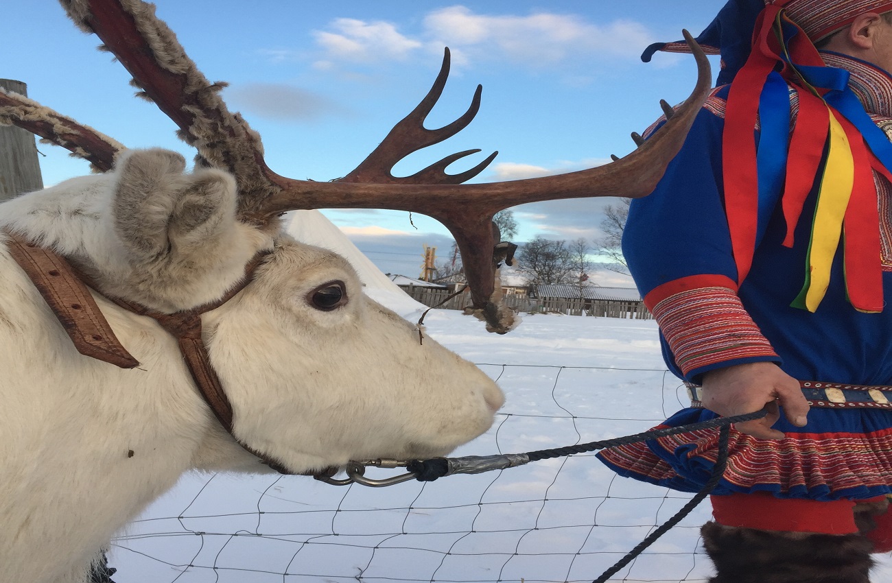Besøk hos Siida Malis